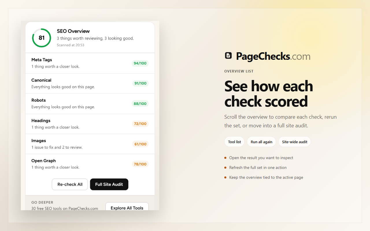 Overview breakdown showing pass, warning, and issue counts for the current page